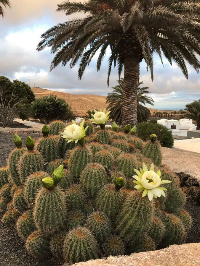 Casa Alegria Lejlighed Los Valles Eksteriør billede